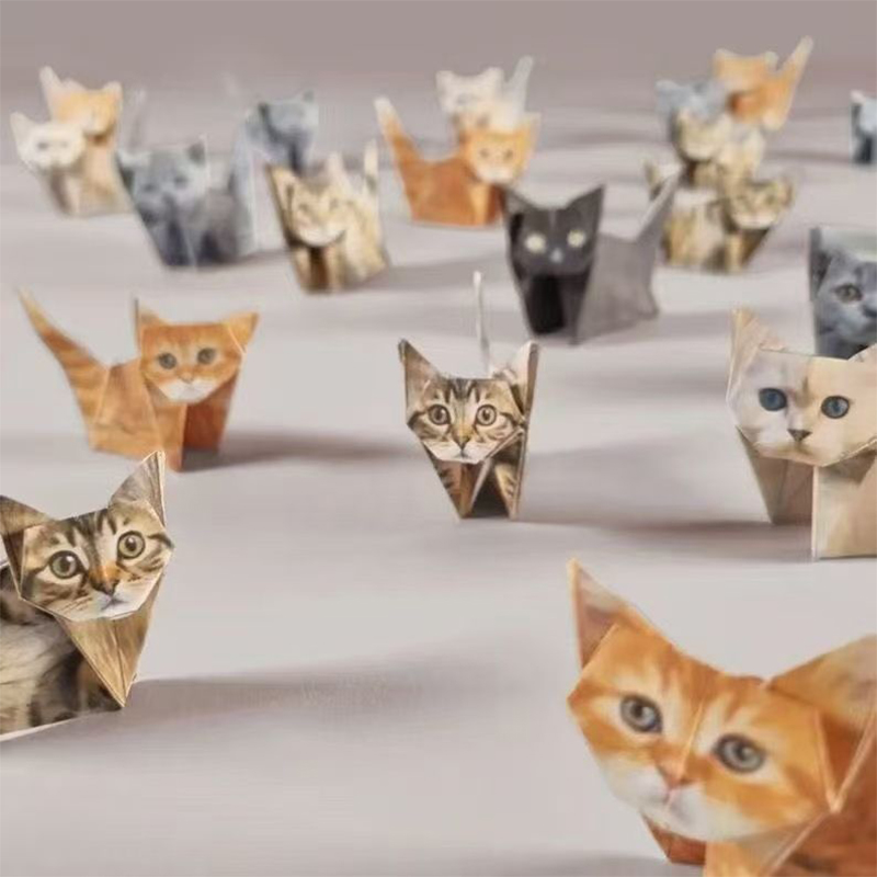 Creatief DIY Origami Handgemaa - Art Craft Usa recensie en prijs