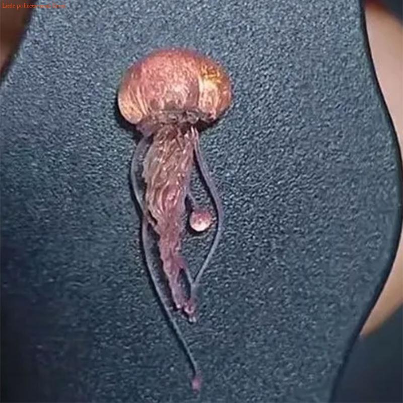 F92D Creatieve Kwallen Art Mal - Art Craft Jellyfish recensie en prijs
